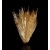 Aragonite (fluorescent) Eugui M05123